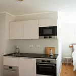 Rent 1 bedroom apartment of 32 m² in Ingolstadt