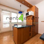 Rent 1 bedroom apartment of 48 m² in Prague