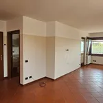 Affitto 5 camera casa di 219 m² in Verona