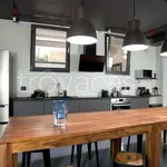 Rent 1 bedroom apartment of 30 m² in Brescia