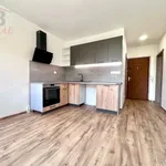 Rent 1 bedroom apartment in Chomutov