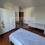 Rent a room of 150 m² in Legnaro