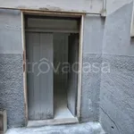 Rent 2 bedroom apartment of 65 m² in Trani