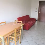 Rent 2 bedroom apartment of 60 m² in Moncalieri