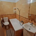 Rent 1 bedroom apartment in Liberec