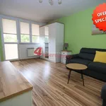 Rent 1 bedroom apartment of 28 m² in Tarnów