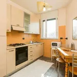 Rent 1 bedroom apartment of 50 m² in milan