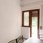 Rent 6 bedroom apartment in Rome