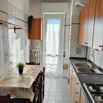 Rent 3 bedroom apartment of 100 m² in Milano