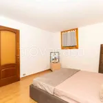 Rent 2 bedroom apartment of 40 m² in Torino