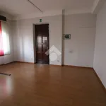 Rent 3 bedroom apartment of 220 m² in Mantova