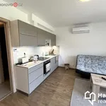 Rent 2 bedroom apartment of 41 m² in Olomouc