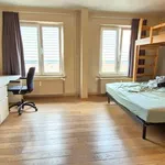 Rent 1 bedroom apartment in Leuven