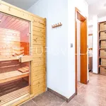 Rent 4 bedroom house of 1000 m² in Zagreb