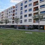 Pronajměte si 1 ložnic/e byt o rozloze 33 m² v Prague