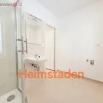 Rent 1 bedroom apartment of 29 m² in Havířov