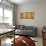 Miete 1 Schlafzimmer wohnung von 30 m² in Frankfurt am Main