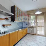 Rent 3 bedroom apartment of 100 m² in Perugia