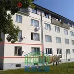 Rent 3 bedroom apartment of 52 m² in Trhový Štěpánov