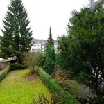 Rent 2 bedroom apartment of 50 m² in Essen