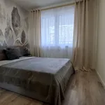 Rent 2 bedroom apartment of 40 m² in Gliwice