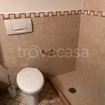 Rent 4 bedroom apartment of 60 m² in Bari