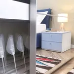 Rent 1 bedroom apartment in milan