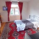 Rent 2 bedroom apartment of 45 m² in Dortmund