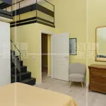 Rent 1 bedroom apartment of 60 m² in Roma