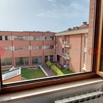 Rent 3 bedroom apartment of 75 m² in Siena