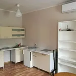 Rent 1 bedroom apartment of 25 m² in Zabrze