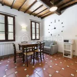 Rent 3 bedroom apartment of 60 m² in Firenze