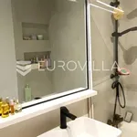 Rent 1 bedroom apartment of 40 m² in Zagreb