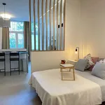 Rent 1 bedroom apartment of 30 m² in madrid