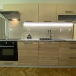 Rent 2 bedroom apartment of 38 m² in Nový Jičín