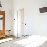 Rent 2 bedroom apartment of 45 m² in rome