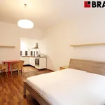 Pronajměte si 1 ložnic/e byt o rozloze 42 m² v Brno