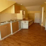 Rent 1 bedroom apartment of 19 m² in NANTES