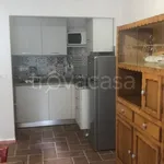 Rent 2 bedroom apartment of 55 m² in Acceglio