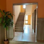 Rent 2 bedroom apartment of 70 m² in Turin