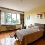 Huur 1 slaapkamer appartement in Antwerpen