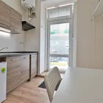 Rent 1 bedroom apartment in Brno