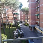 Rent 5 bedroom apartment of 100 m² in Viareggio