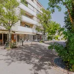 Rent 1 bedroom apartment of 24 m² in Basel