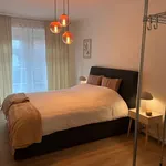 Huur 1 slaapkamer appartement in Brasschaat