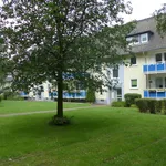 Rent 3 bedroom apartment of 65 m² in Gelsenkirchen