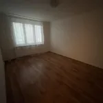 Rent 2 bedroom apartment in Sokolov