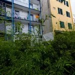 Rent a room of 100 m² in lisbon