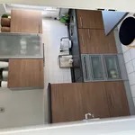 Rent 1 bedroom apartment of 30 m² in Dresden