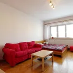 Rent 1 bedroom apartment in Brno